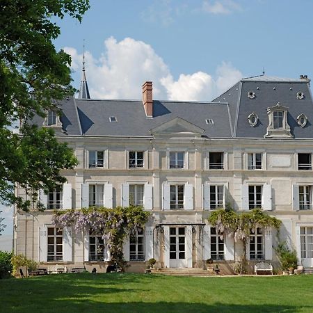 Chambres D'Hotes Chateau De La Puisaye ヴェルヌイユ・ダヴル・エ・ディトン エクステリア 写真