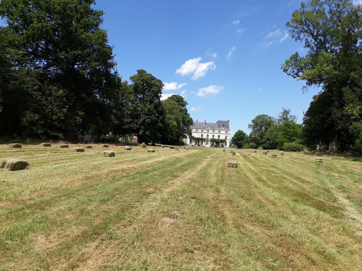Chambres D'Hotes Chateau De La Puisaye ヴェルヌイユ・ダヴル・エ・ディトン エクステリア 写真