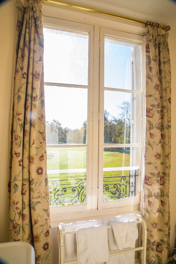 Chambres D'Hotes Chateau De La Puisaye ヴェルヌイユ・ダヴル・エ・ディトン エクステリア 写真