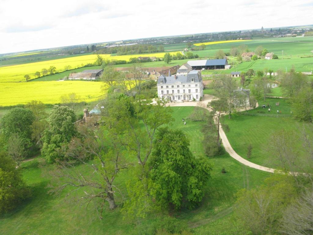 Chambres D'Hotes Chateau De La Puisaye ヴェルヌイユ・ダヴル・エ・ディトン エクステリア 写真