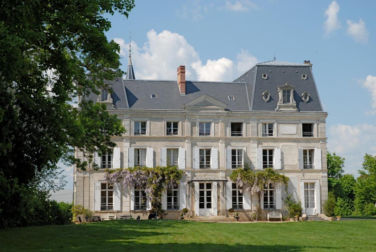Chambres D'Hotes Chateau De La Puisaye ヴェルヌイユ・ダヴル・エ・ディトン エクステリア 写真